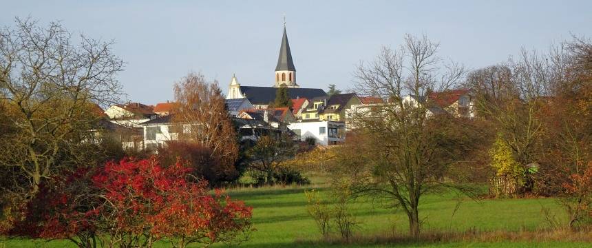 Quelle: MST